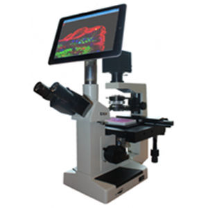 Microscopio óptico - MI 1400  - Microptik BV - de laboratorio / biológico / médico