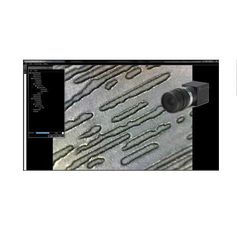Software médico - MiCam - Microptik BV - de captura de imágenes