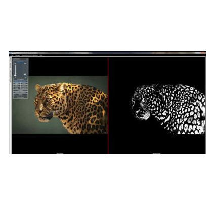Software médico - MiPis  - Microptik BV - para microscopios digitales / de análisis
