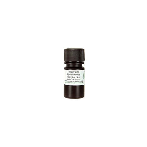 Reactivo en solución - A1004 series - Zymo Research - para la reacción de amplificación / Escherichia coli