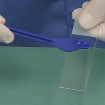 Módulo de simulación de palpación mamaria - SIMTICS - de anatomía / procesos basados en la web