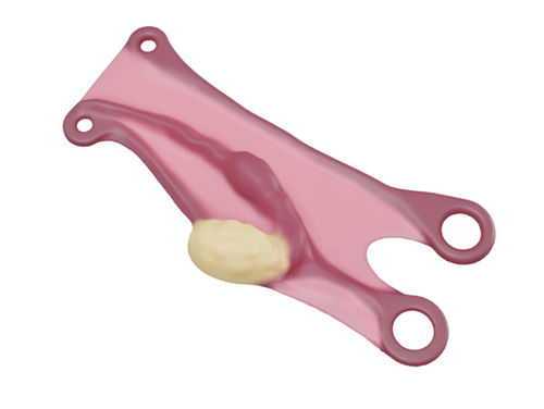 Modelo anatómico de trompas de Falopio - IN0GABL-1-1 - MEDICAL-X - de formación / de embarazo