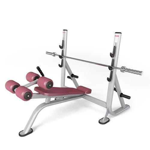 Banco de musculación invertido - FIT EVO 1fe206 - Panatta - con soporte para mancuernas