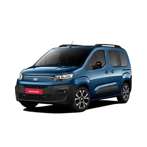 Vehículo para discapacitados monovolumen - Fiat Doblò  - Olmedo Special Vehicles - acceso posterior