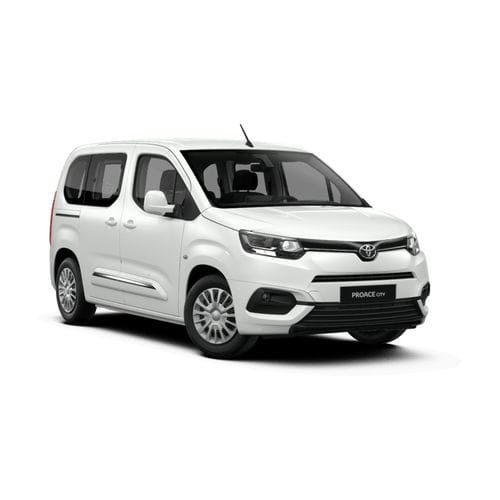 Vehículo para discapacitados monovolumen - Toyota Proace - Olmedo Special Vehicles - acceso posterior