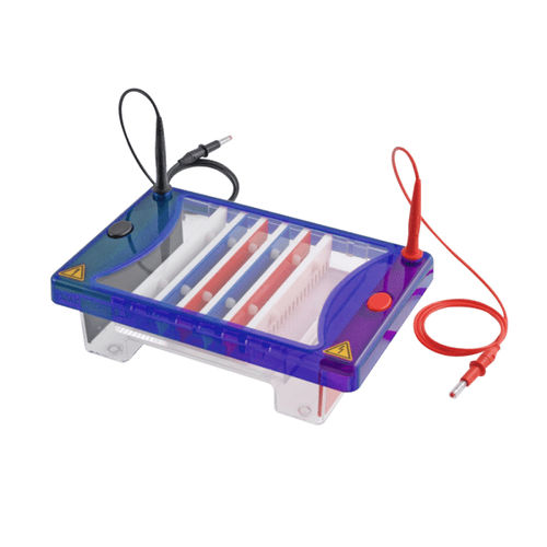 Sistema de electroforesis de mesa - ConcertoGEL  - Hercuvan - horizontal
