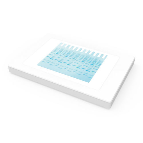 Panel LED de laboratorio - SlimWhite - Maestrogen