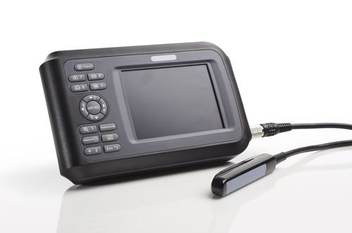 Ecógrafo de mano - DP-20A - Promed Technology - para ecografía polivalente / para ecografía ginecológica y obstétrica / para ecografía cardiovascular