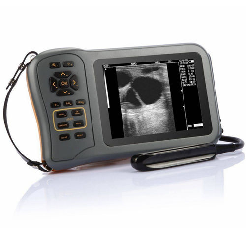 Ecógrafo veterinario de mano - V3 - Promed Technology - multifuncional / para animales grandes / blanco y negro