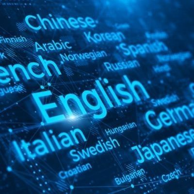 Software de gestión - SMARTLingual   - Simeks Medical Systems - médico
