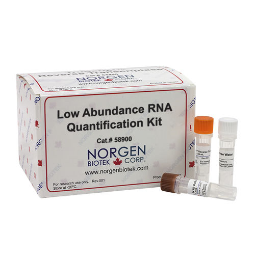 Kit de reactivos para cuantificación de ARN - 58900 - Norgen Biotek - en solución / para PCR en tiempo real / líquido