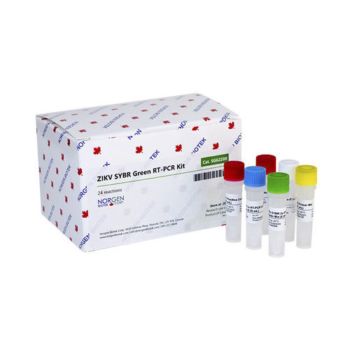 Kit de prueba Neisseria gonorrhea - TM309 series - Norgen Biotek - para la investigación / para enfermermedades infecciosas / para virus