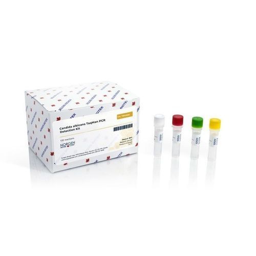 Kit de prueba de Candida albicans - TM340 series - Norgen Biotek - de enfermedades gastrointestinales / para la investigación / de plomo