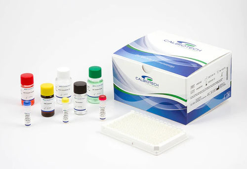 Kit de reactivos para CMV - CM027G - Calbiotech - en solución / para la investigación / de IgG