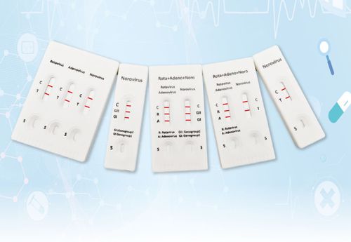 Prueba rápida de enfermedades gastrointestinales - INRV-C61 - Hangzhou Biotest Biotech Co. Ltd. - para genotipado / de virus Norwalk / de rotavirus