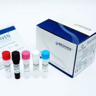Kit de prueba del dengue - GenoAmp&reg; GRA2006 - Medical Innovation Ventures - para virus / de suero / por plasma