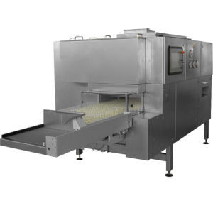 Túnel de depirogenación - 401 - Bausch Advanced Technologies - para centro sanitario / de esterilización / para la industria farmacéutica