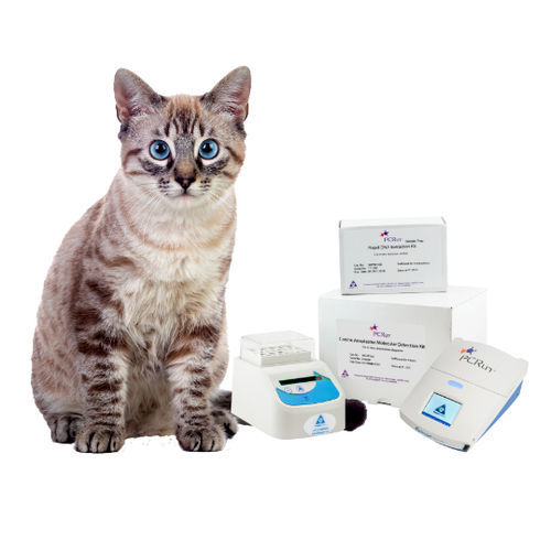 Kit de prueba veterinario - PCRun® - Biogal – Galed Laboratories - para animales / de flujo lateral / molecular