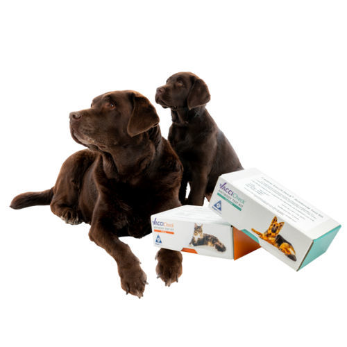 Kit de prueba veterinario - VacciCheck - Biogal – Galed Laboratories - para perro / para gatos / para anticuerpos