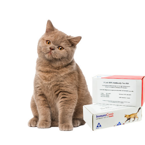 Kit de prueba para enfermermedades infecciosas - ImmunoComb - Biogal – Galed Laboratories - veterinario / de inmunidad / para animales