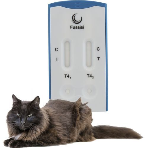 Prueba rápida de enfermedades tiroideas - T4 - Fassisi, Gesellschaft für Veterinärdiagnostik und Umweltanalysen mbH - veterinaria / para felinos / de suero