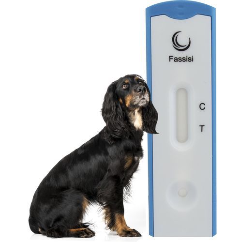 Prueba rápida para el gusano del corazón - CANDIRO - Fassisi, Gesellschaft für Veterinärdiagnostik und Umweltanalysen mbH - para cánidos / de Dirofilaria / de suero