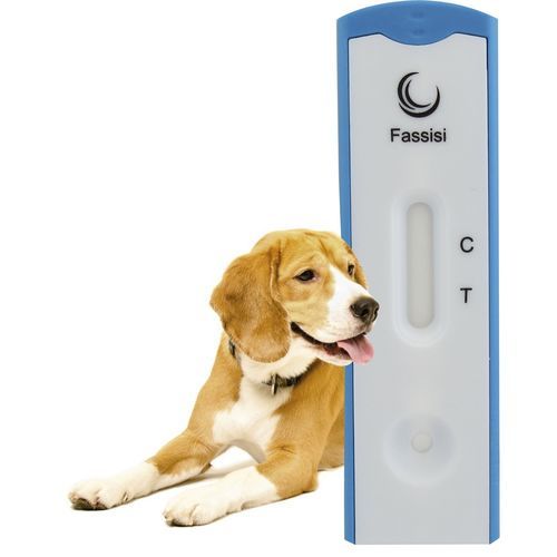 Prueba rápida de ehrlichiosis - EHRCANIS - Fassisi, Gesellschaft für Veterinärdiagnostik und Umweltanalysen mbH - para perro / de Ehrlichia / de suero