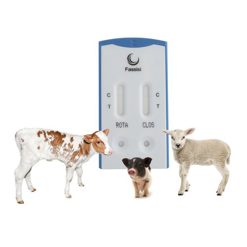 Prueba rápida de diarrea - PiDia light - Fassisi, Gesellschaft für Veterinärdiagnostik und Umweltanalysen mbH - para enfermermedades infecciosas / para cochinillos / para ganado caprino