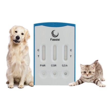 Prueba rápida para enfermermedades infecciosas - TRIPLE - Fassisi, Gesellschaft für Veterinärdiagnostik und Umweltanalysen mbH - para gatos / para perro / para virus