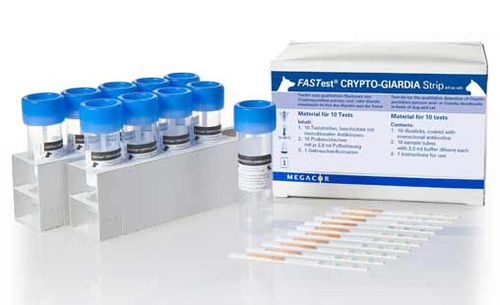 Prueba rápida de giardiasis - FASTest® CRYPTO-GIARDIA - MEGACOR Diagnostik - veterinaria / de Cryptosporidium / de heces