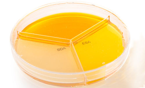 Reactivo de laboratorio veterinario - MYKODERMOASSAY TRIO - MEGACOR Diagnostik - gel de agar / para microbiología / para cultivos celulares