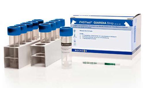 Prueba rápida de giardiasis - FASTest® - MEGACOR Diagnostik - para antígenos / de heces / inmunocromatográfica