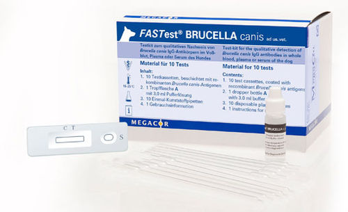 Prueba rápida de brucelosis - FASTest® BRUCELLA - MEGACOR Diagnostik - para perro / para anticuerpos / de Brucella