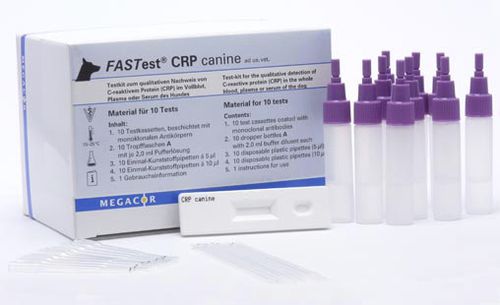 Prueba rápida de enfermedades inflamatorias - FASTest® CRP - MEGACOR Diagnostik - para perro / de CRP / de suero