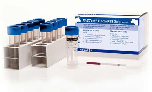 Prueba rápida de diarrea - FASTest® E.coli-K99 - MEGACOR Diagnostik - para bovinos / para antígenos / de plomo