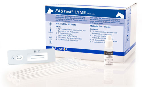 Prueba rápida de la enfermedad Lyme - FASTest® LYME - MEGACOR Diagnostik - para perro / para caballos / de IgG