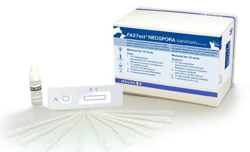 Prueba rápida de Neospora caninum - FASTest® NEOSPORA - MEGACOR Diagnostik - para enfermermedades infecciosas / veterinaria / de suero