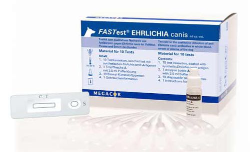 Prueba rápida de ehrlichiosis - FASTest® EHRLICHIA canis - MEGACOR Diagnostik - para perro / para anticuerpos / de Ehrlichia