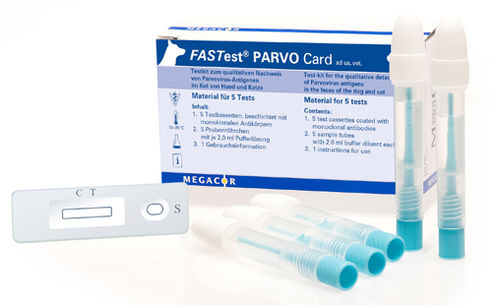 Prueba rápida para enfermermedades infecciosas - FASTest® PARVO - MEGACOR Diagnostik - para gatos / para perro / para antígenos
