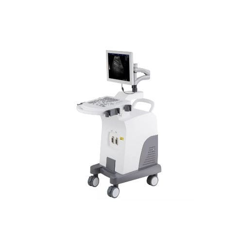 Ecógrafo con soporte - HF-350 - Shanghai Huifeng Medical Instrument - para ecografía polivalente / blanco y negro / 15 pulgadas