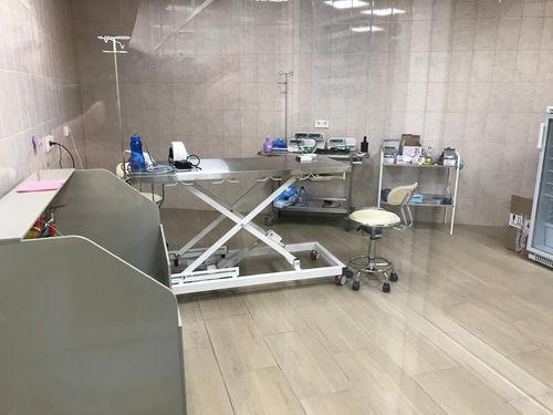 Mesa de operaciones veterinarias eléctrica - 72 - Vetbot - para animales grandes / para animales de compañía / con altura regulable