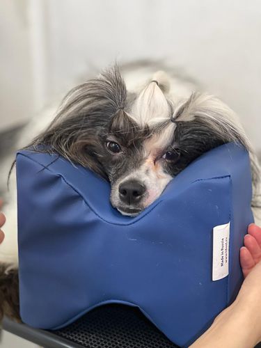 Almohada veterinaria - SML  - Vetbot