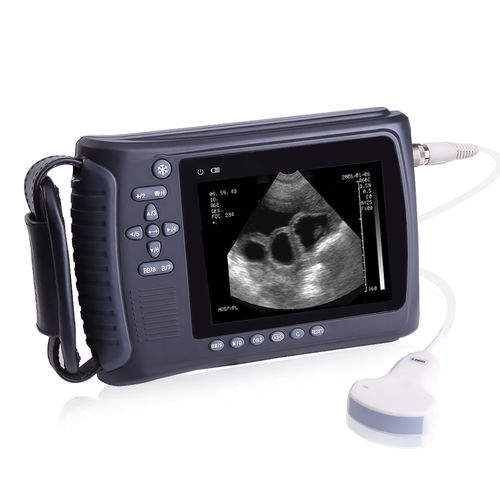 Ecógrafo veterinario de mano - PL-3018V - JZH Greenenergy - multifuncional / blanco y negro