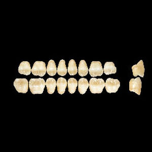 Prótesis dental de fibra acrílica - Wiedent Estetic   - Wiedent - para dientes posteriores
