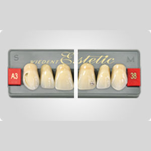 Prótesis dental de fibra acrílica - Encrusted WIEDENT Estetic,  ALMAMISS - Wiedent - de los dientes anteriores