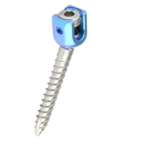 Tornillo pedicular para vértebra torácica, lumbar - REED Polyaxial Screw - H.P.I. Medical - poliaxial / metálico