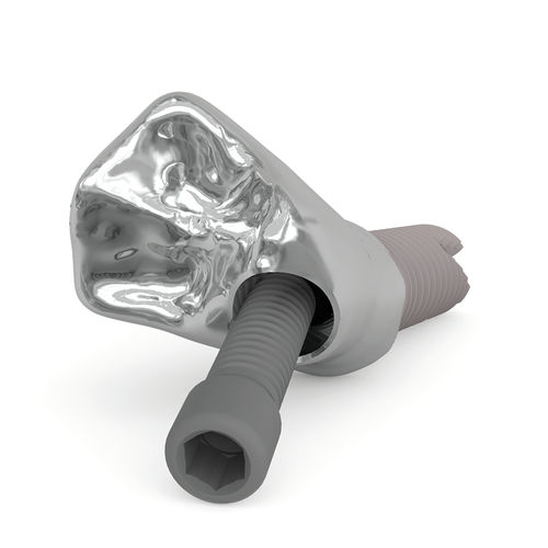 Tornillo prostodóntico - Kiran® Screw - Ziacom Medical