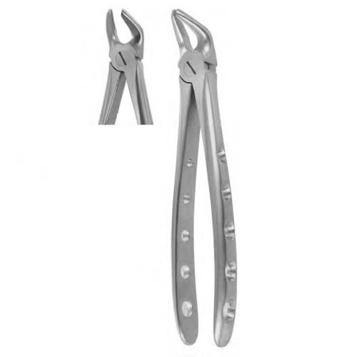 Fórceps de extracción dental para premolares - 1002 - Thempson - tipo inglés