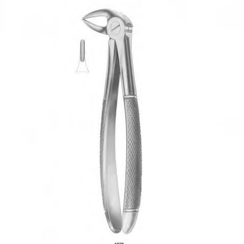 Fórceps de extracción para raíz dental - 1029 - Thempson - tipo inglés