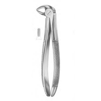 Fórceps de extracción dental pediátrico - 1034 - Thempson - para raíz dental / tipo inglés
